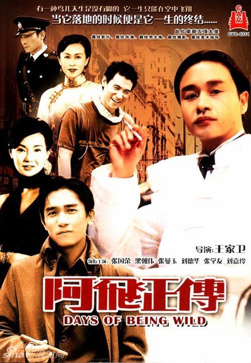 成人大专毕业证怎么买到